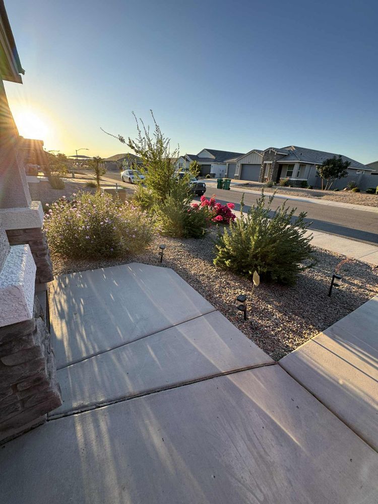 All Photos for Good Hands Landscape in Maricopa, AZ