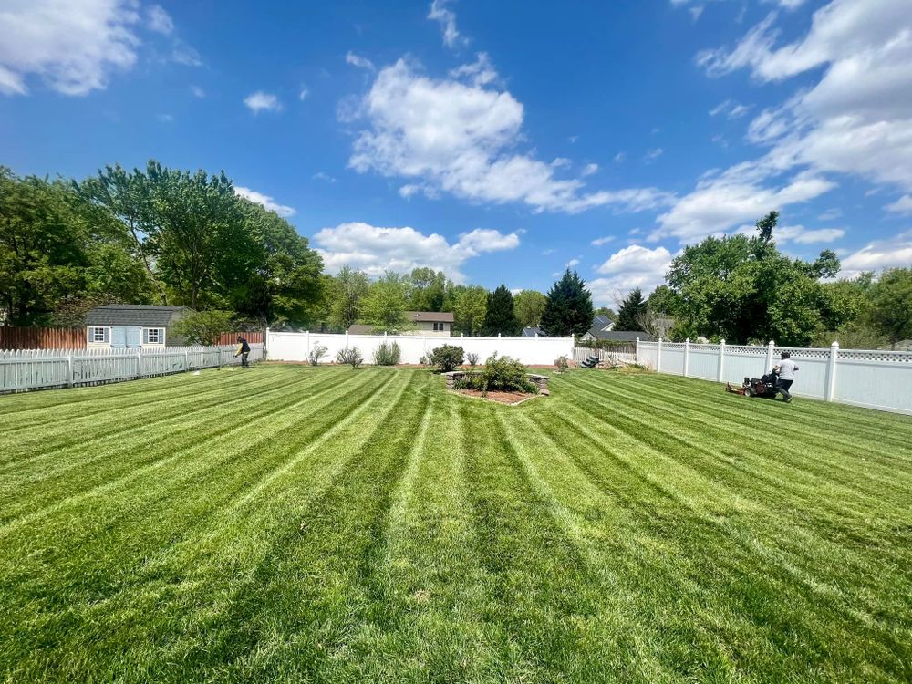Lawn Care for Silburn Lawn & Landscape in Odenton, MD