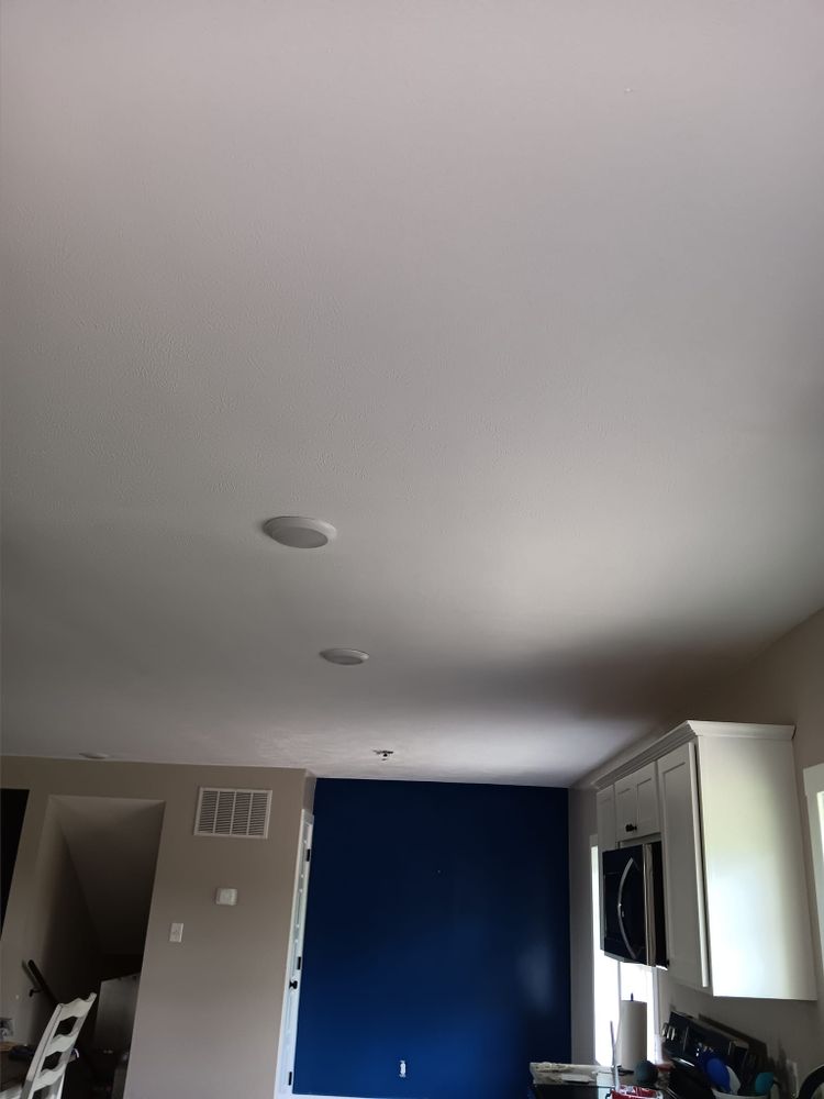 Subfloor repair and Beam Shoring for Dead Tree General Contracting in Carbondale, Illinois