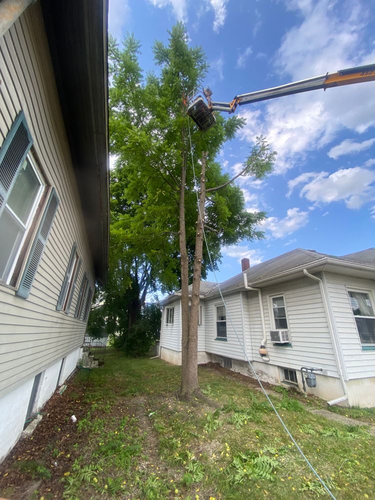 Lift work for Licensed to Cut in Athens, PA