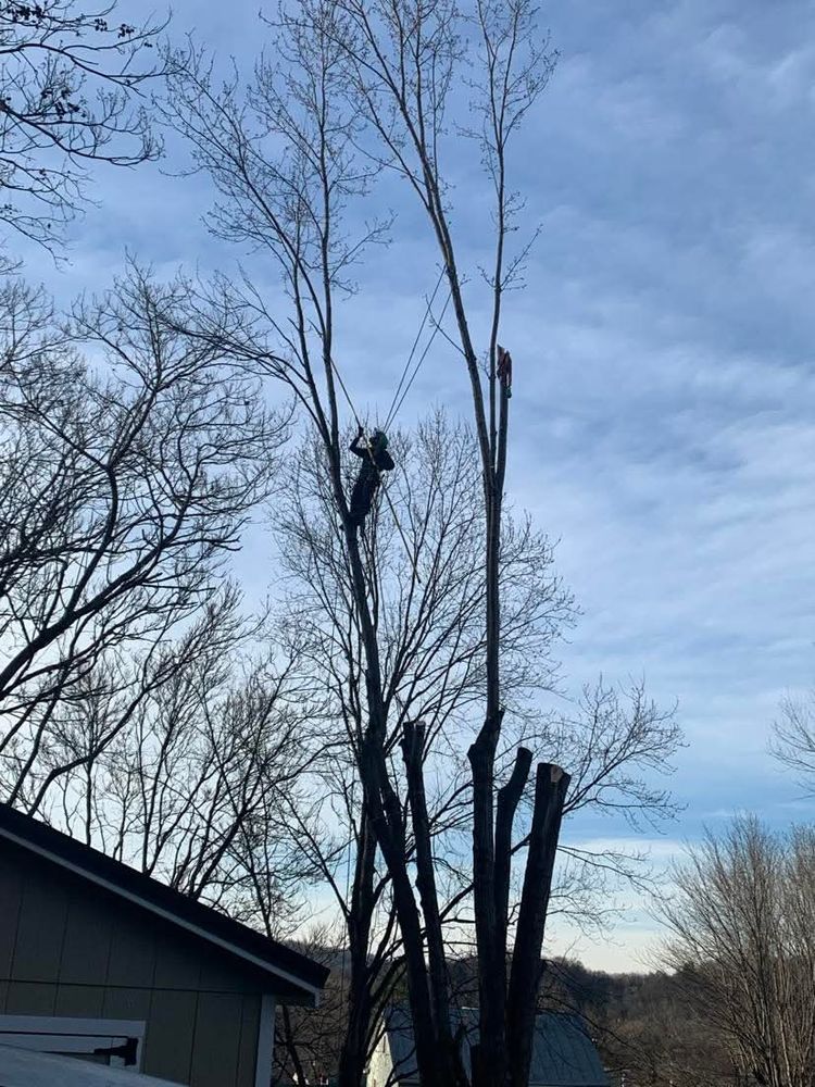 All Photos for VA Landgrowth LLC in Lexington, VA