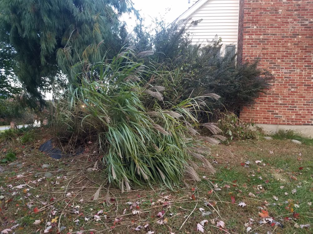 All Photos for Down Home Landscaping in Stillwater, PA