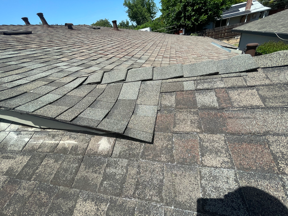 All Photos for Verdusco Family Roofing and Waterproofing in Oroville, CA