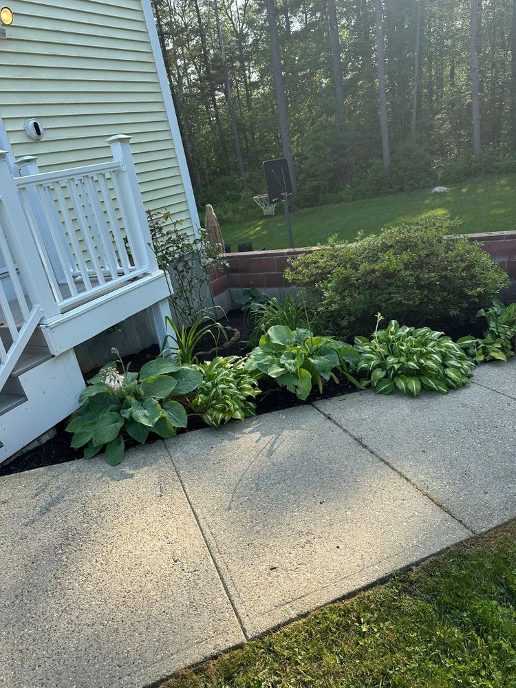 All Photos for Silver City Tree and Landscape in Taunton, MA