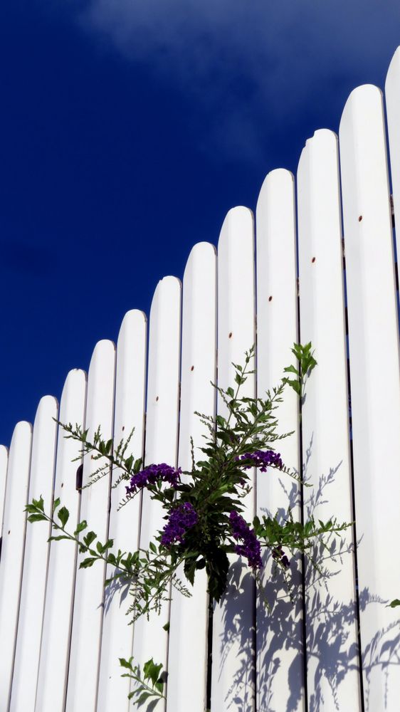 Our fence installation service enhances privacy, security, and curb appeal with durable, stylish options tailored to your home. We deliver expert craftsmanship, quality materials, and reliable results built to last. for RDK Construction & Remodeling in Mobile, AL