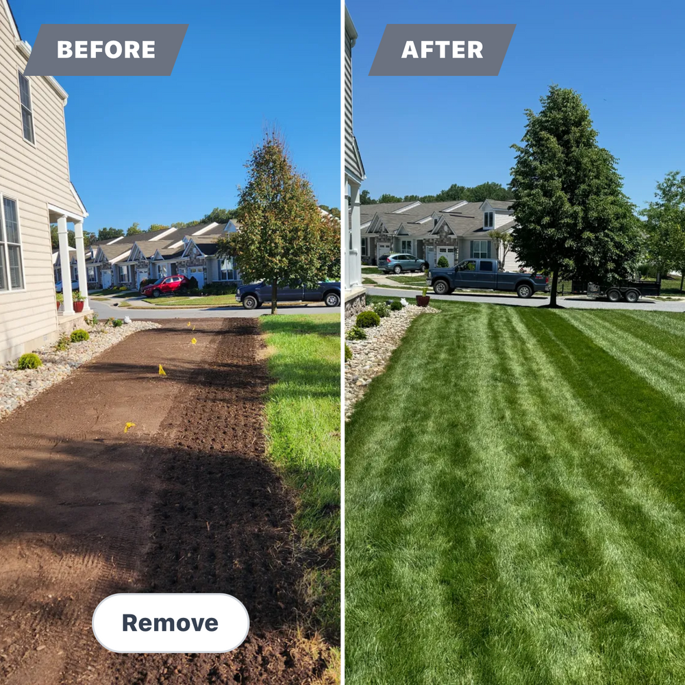 All Photos for Solid Ground Outdoor Living Solutions in Seaford, DE