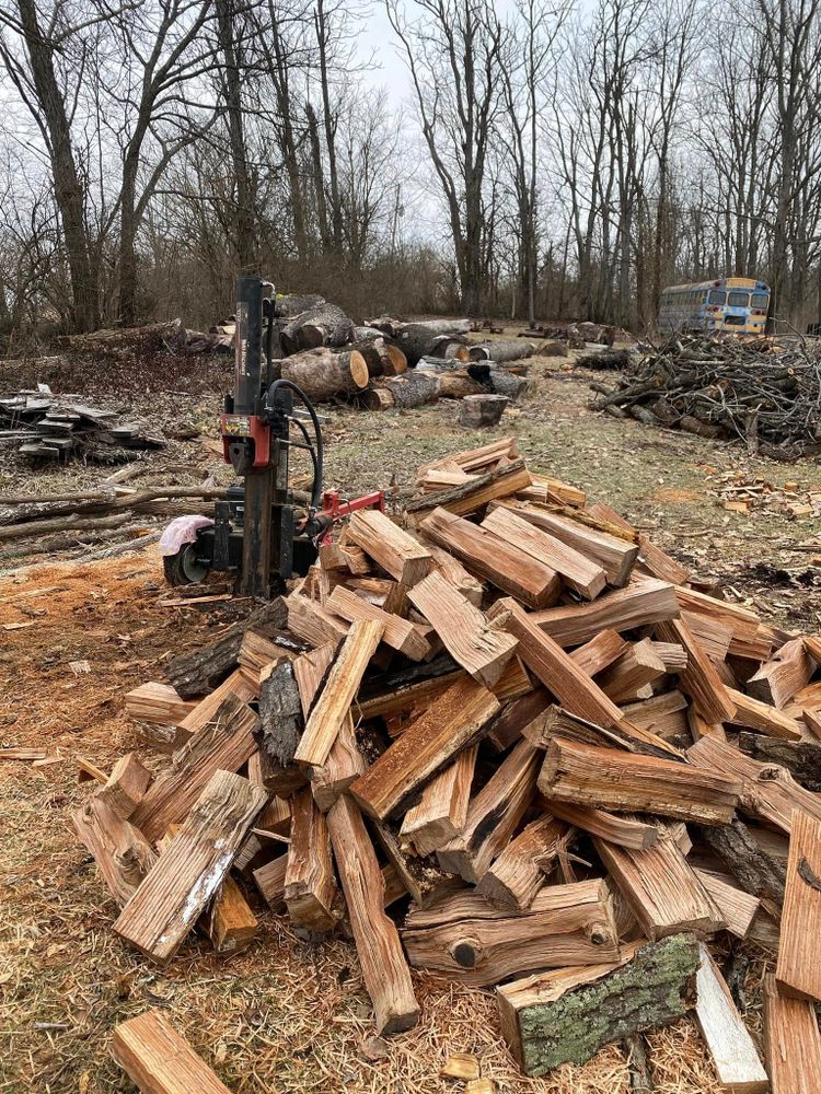 All Photos for Houtz Tree Service in Lexington, KY