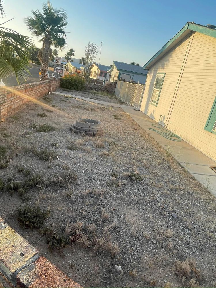 All Photos for Oliver L. Palm & Tree services in Yuma County, AZ