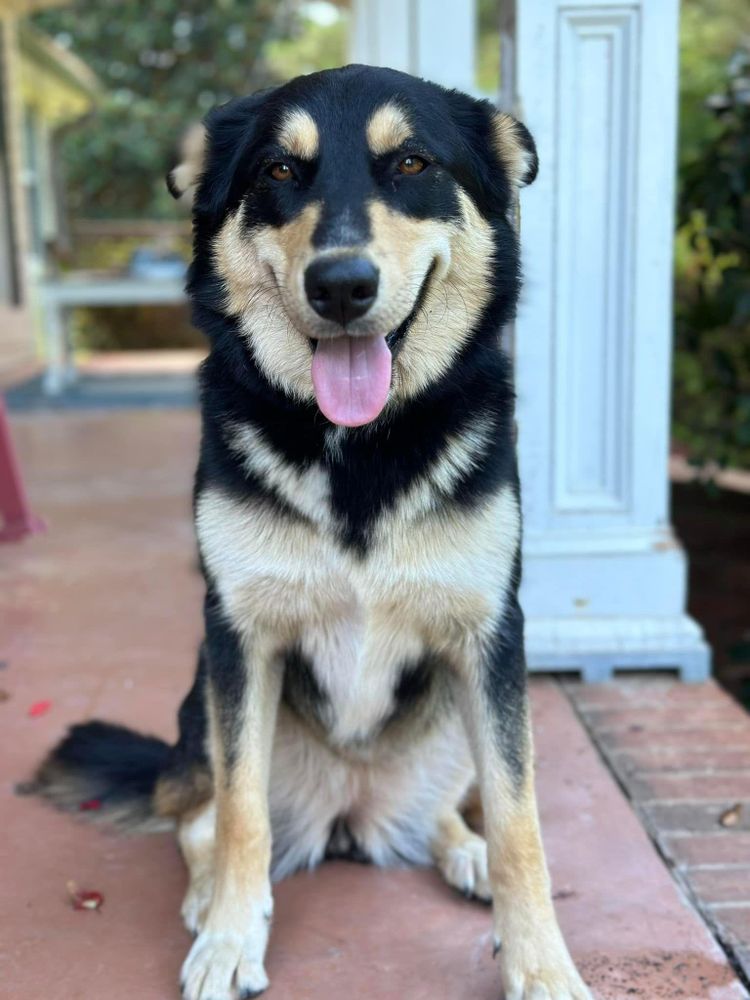 All Photos for X-Stream Pressure Washing and Roof Cleaning in Sandersville, GA