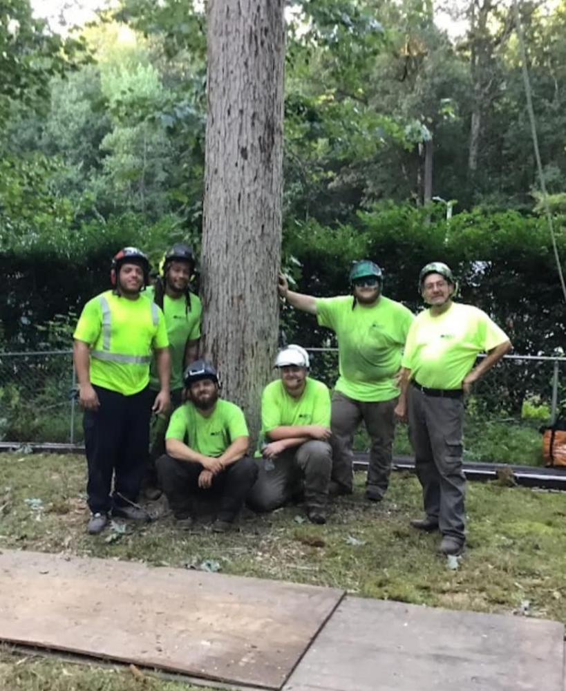 MTJ Tree Removal LLC team in Zebulon, NC - people or person
