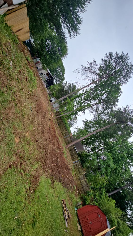 All Photos for Sasquatch Tree Services LLC in Spartanburg, SC