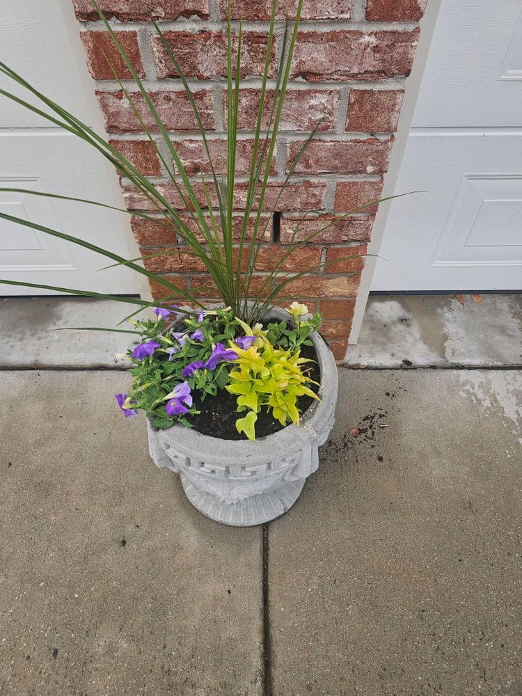 All Photos for Trinity Landscapes  in Lumberton, NC