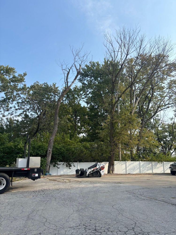 All Photos for Cross Family Tree Service in Kearney, MO