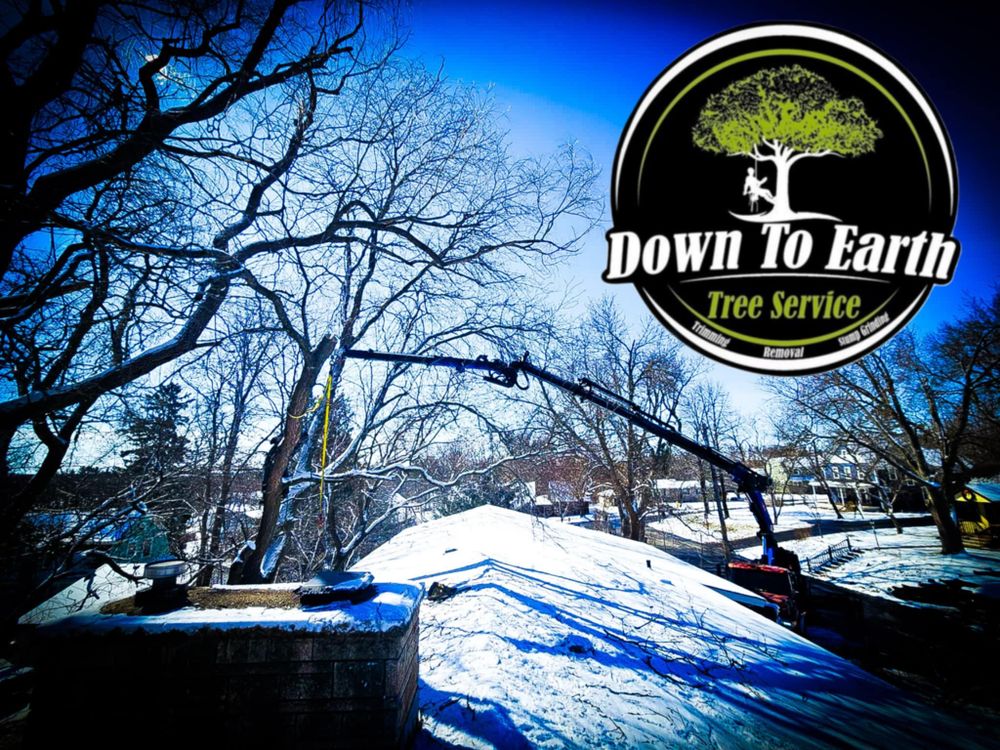 All Photos for Down To Earth Tree Service in Red Wing,  Minnesota