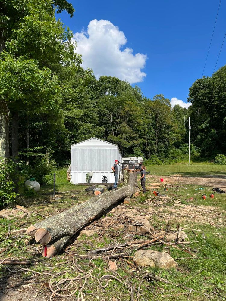 Tree Removal for J&E Tree & Excavation Services in Sandy, PA