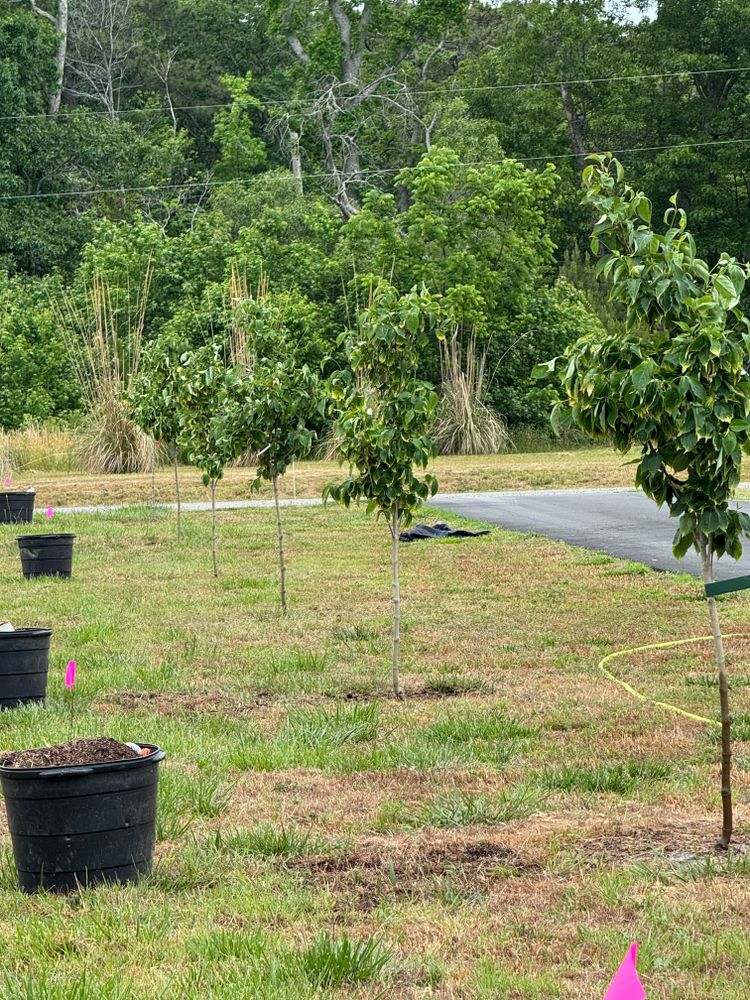 All Photos for The Whole 9 Yards Landscape VA in Heathsville, VA