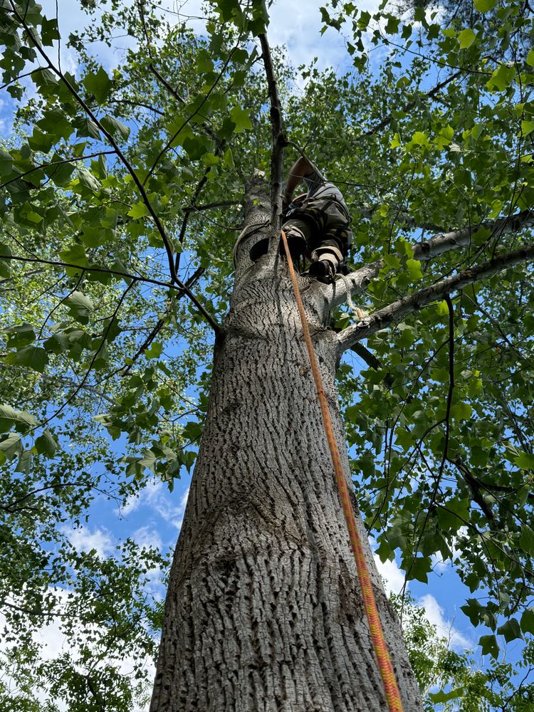 All Photos for Quartz Creek in Claremont, NC