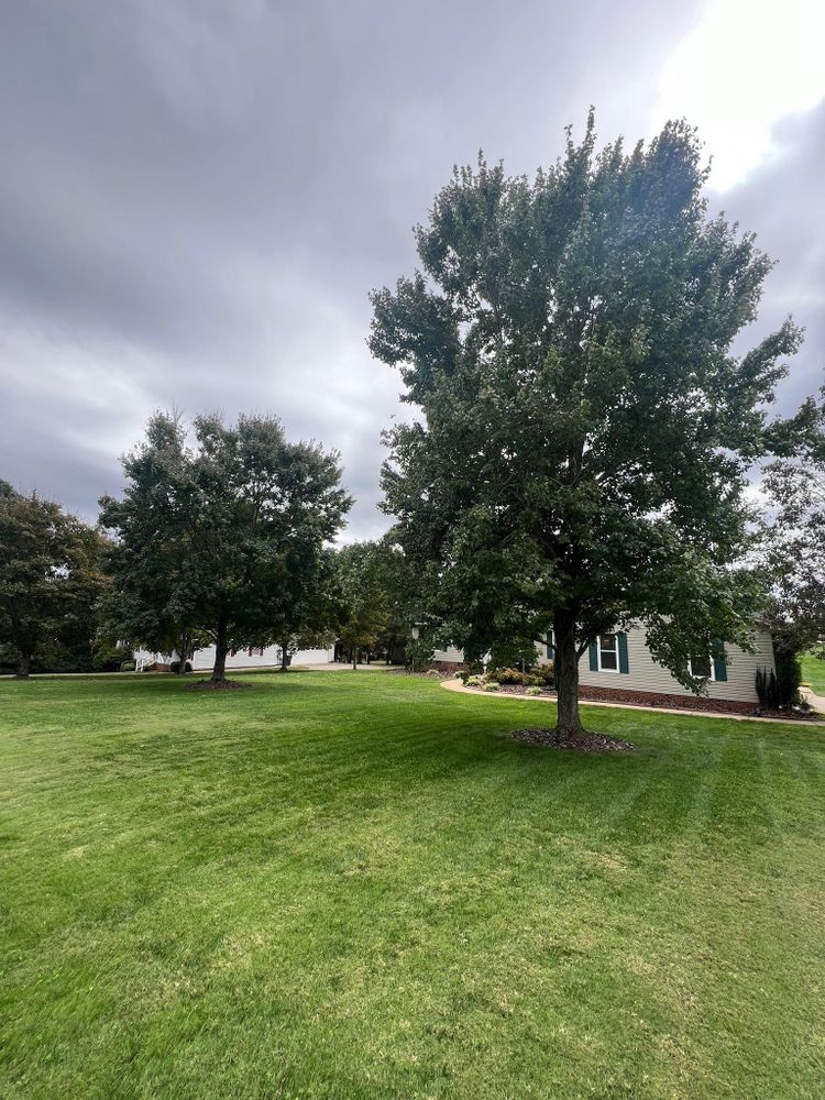 All Photos for Brooks Tree Service, LLC in Casar, NC