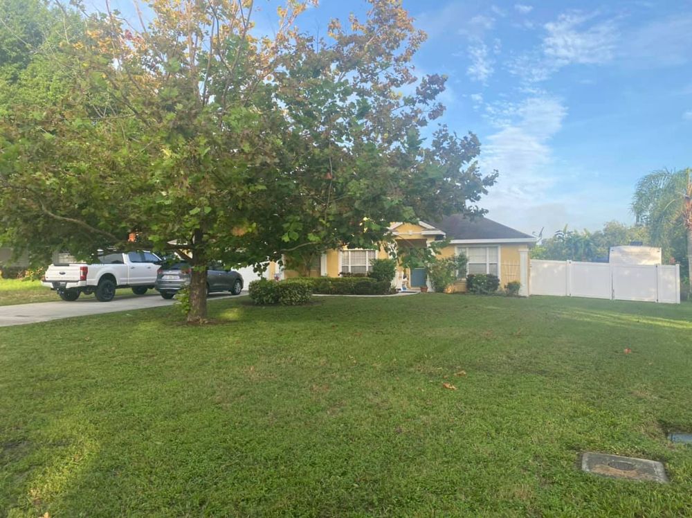 Our Weed Control service effectively eliminates unwanted weeds from your lawn, ensuring a healthy and vibrant yard that enhances curb appeal and promotes overall growth for a lush landscape all year round. for A&D Lawn Care of Lakeland in Lakeland, FL