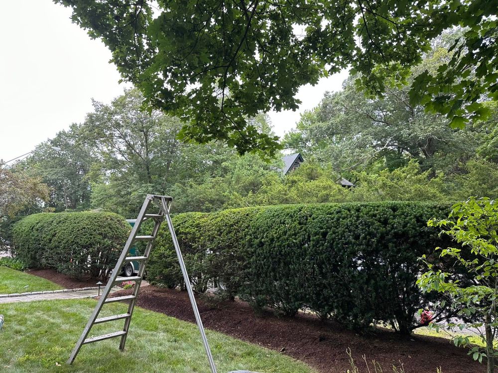 All Photos for Saavedra & Sons Landscaping in Waltham, MA