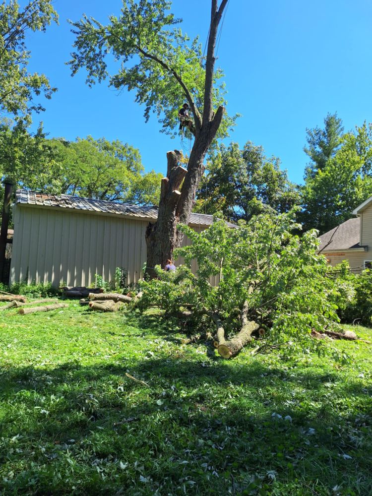 All Photos for Highborn Tree Service in Wheatfield, IN