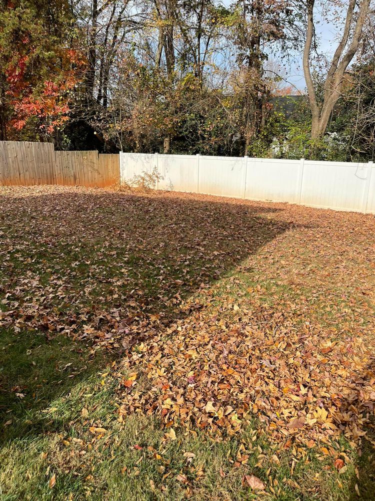 All Photos for Stem Tree Service in Belmont, NC