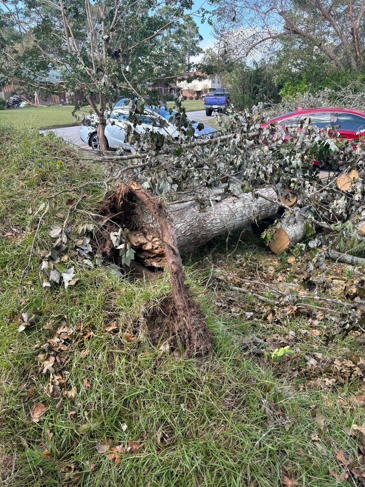 All Photos for Bulldawg Disaster Response in Atlanta, GA
