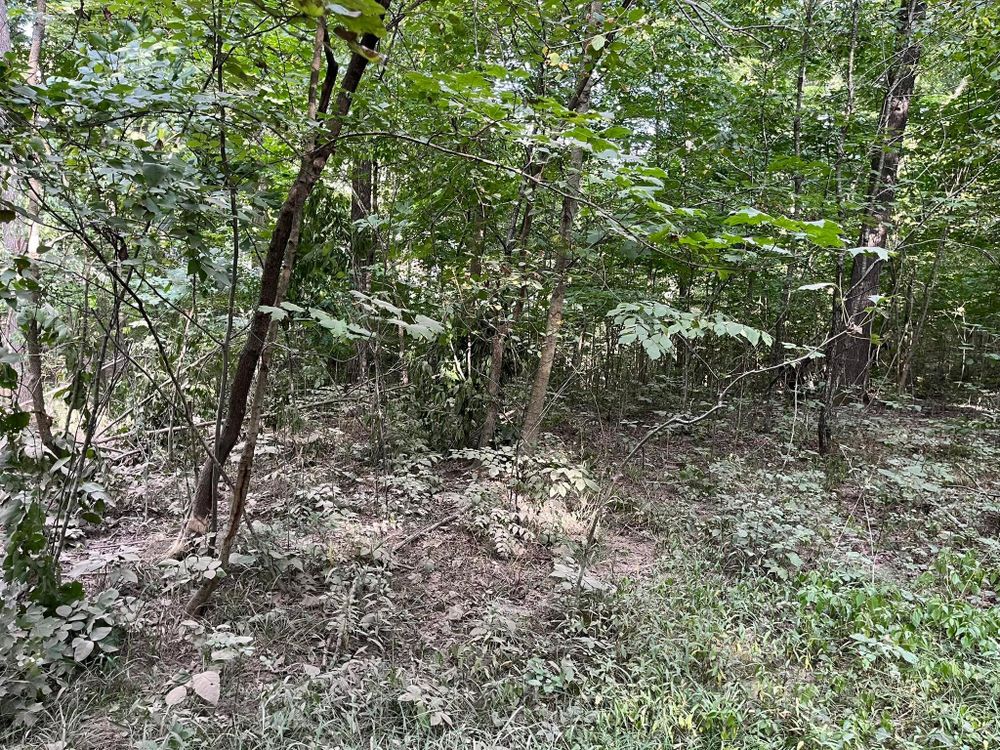 All Photos for KG Ground Development and Transportation in Newton, IL