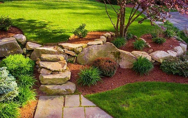 Lawn Care for ALOV Landscaping in Stockton, CA