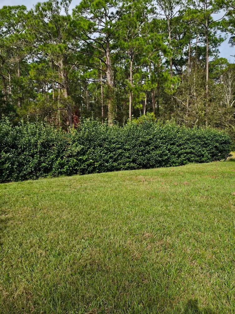 Commercial Landscapes for Above the Lawn Cuts in Sebring, FL