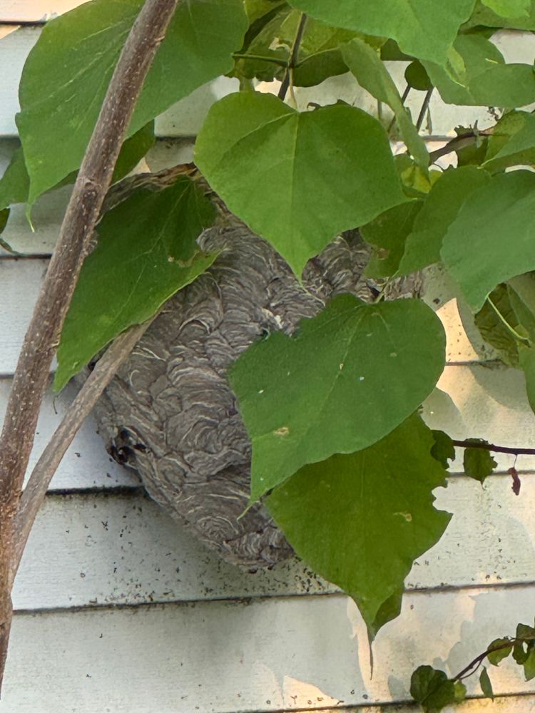 All Photos for Adams Landscaping in Springfield, MA