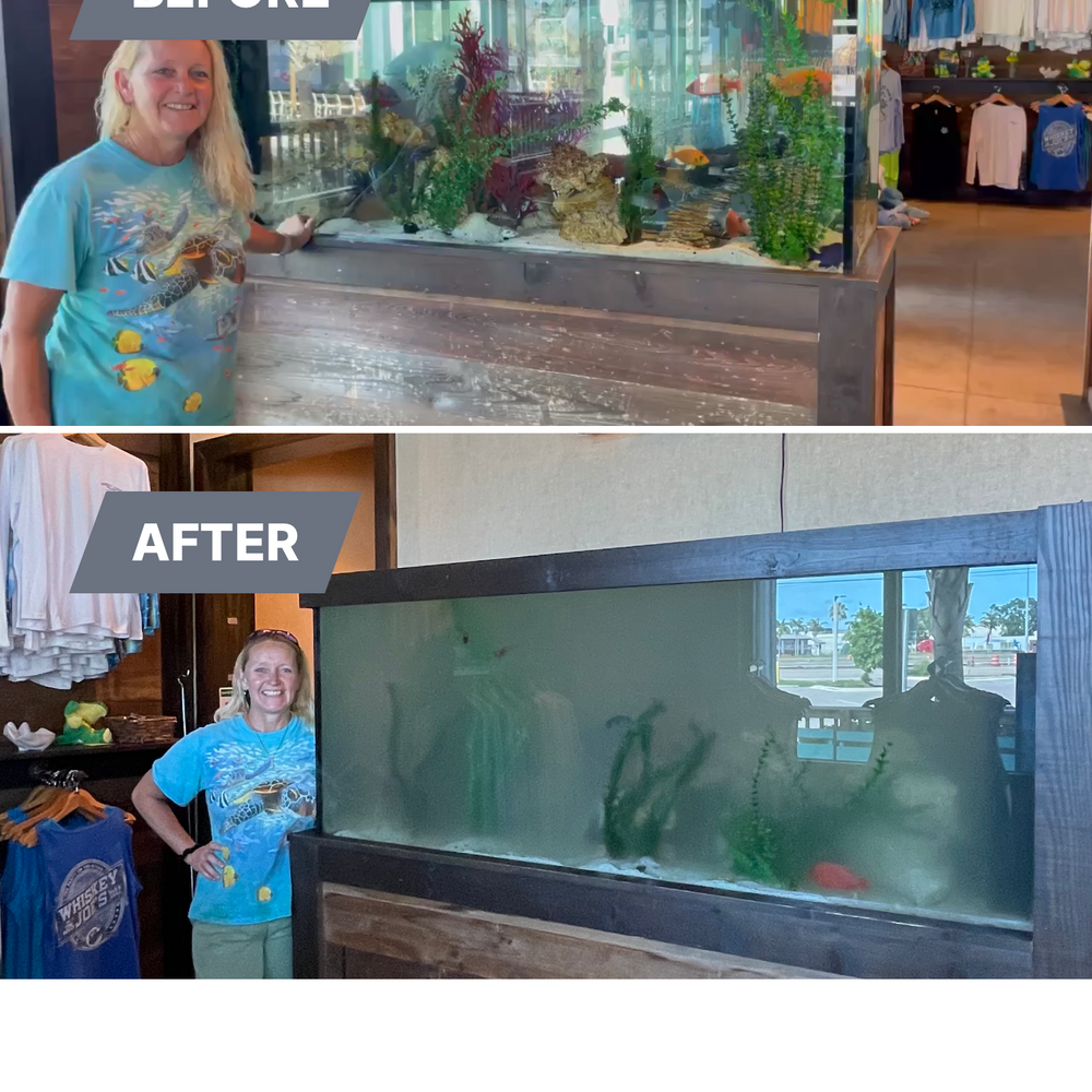 Aquarium builds and set up for Aquariums by Sharyn in The State of Florida, FL