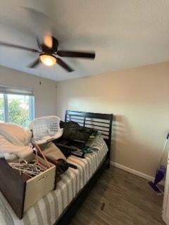 All Photos for Escorpio Painting in Tampa, FL