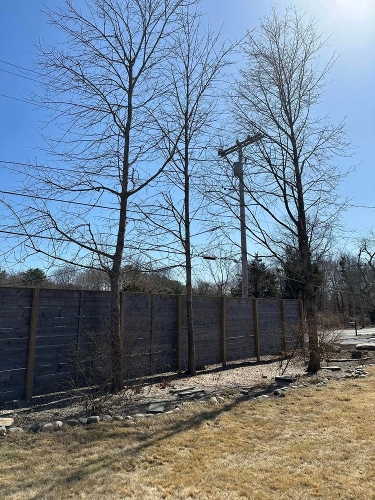 All Photos for Silver City Tree and Landscape in Taunton, MA