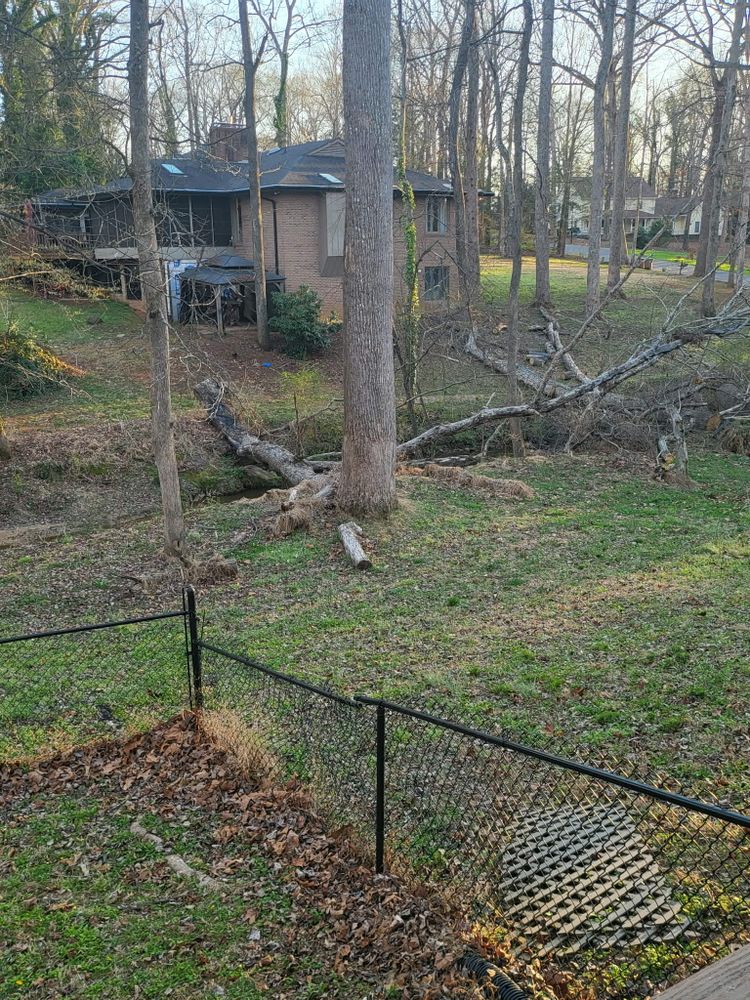 All Photos for Toney Site Services LLC in Rutherford County, NC