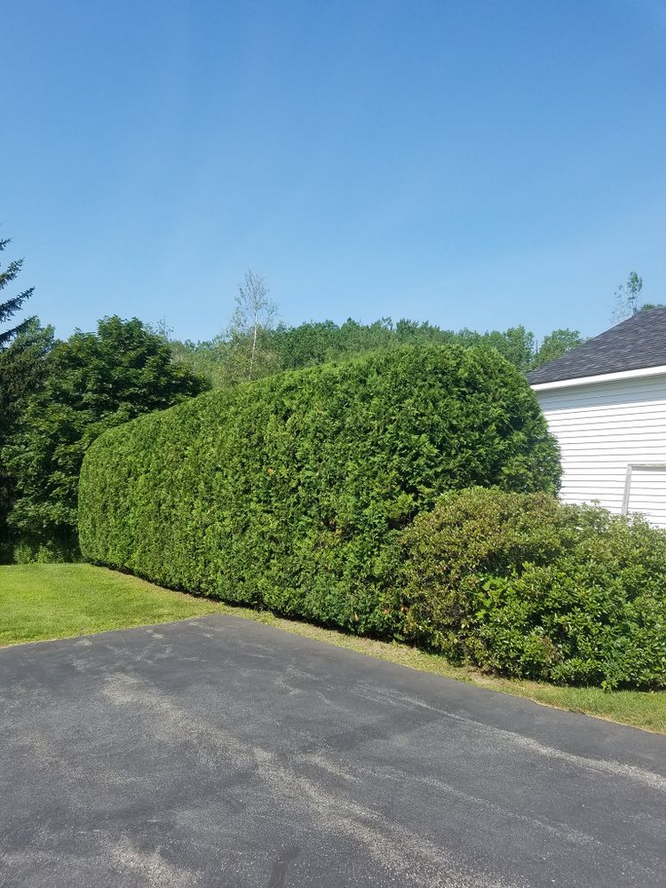 All Photos for Casey's Lawn Service LLC in Orono, ME