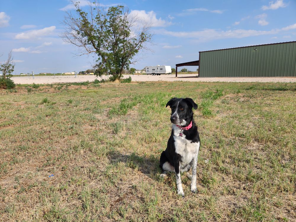All Photos for Prairie Land Properties LLC in Lubbock, TX