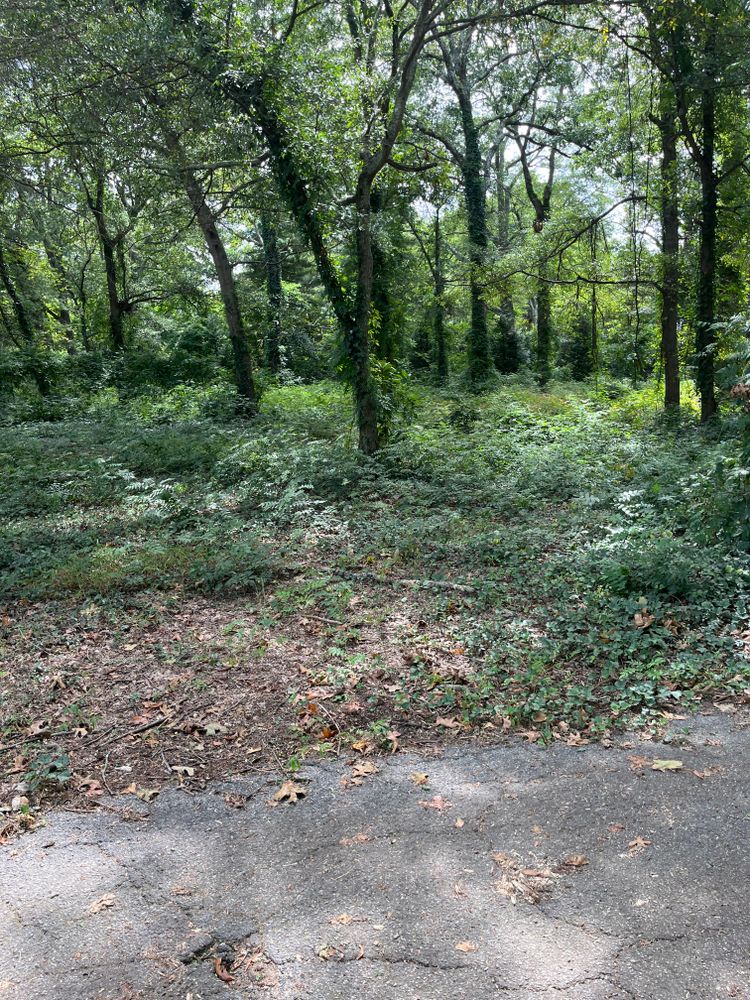 All Photos for Dream Cuts Landscaping and Lawn Care LLC in Gastonia, NC