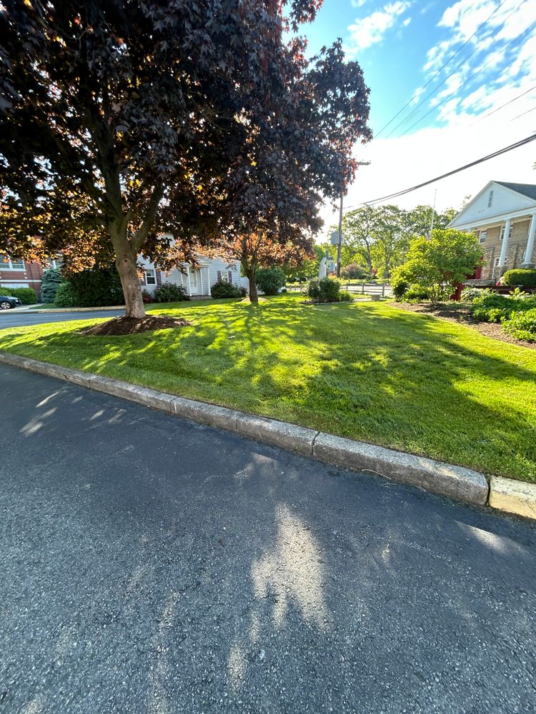 All Photos for Lucas Property Maintenance LLC in New Bedford, MA