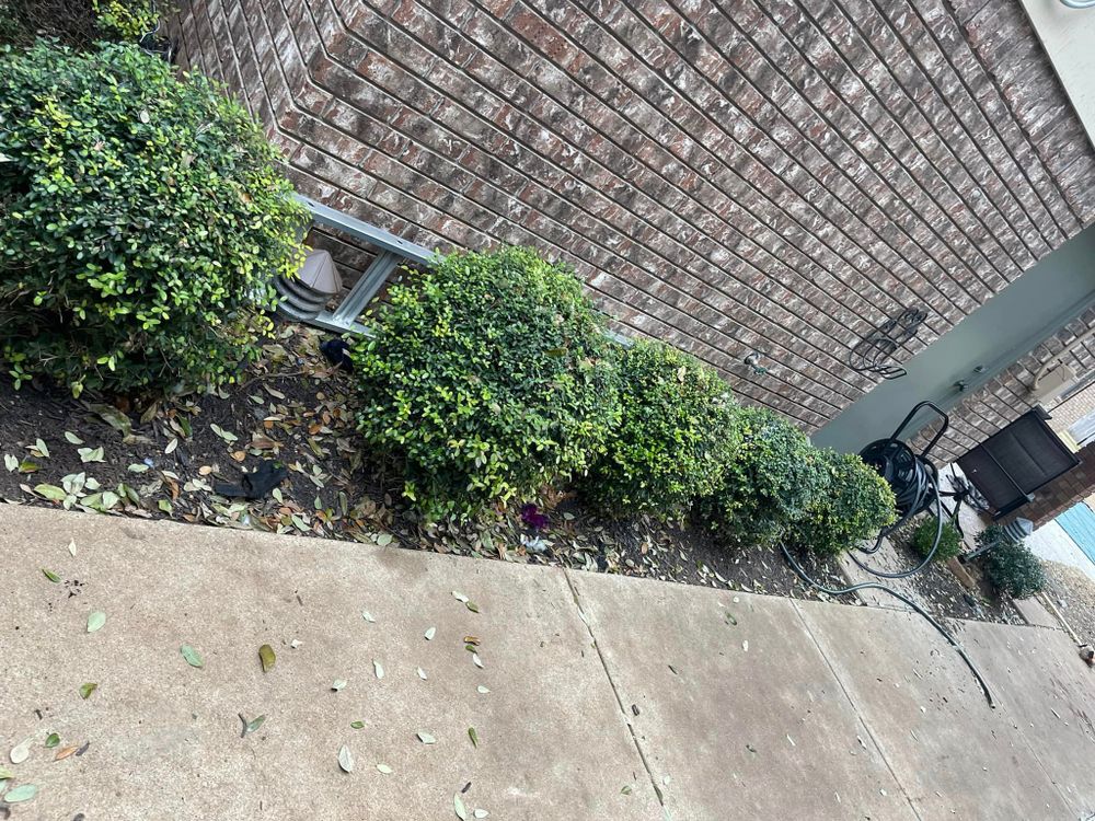 All Photos for Mora’s Lawn Services in Crowley,  TX