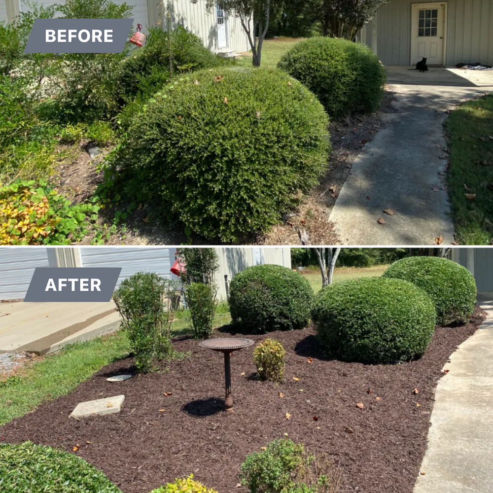 Fall Clean Up for Freedom Works Lawnscaping in Dyer County, Tennessee