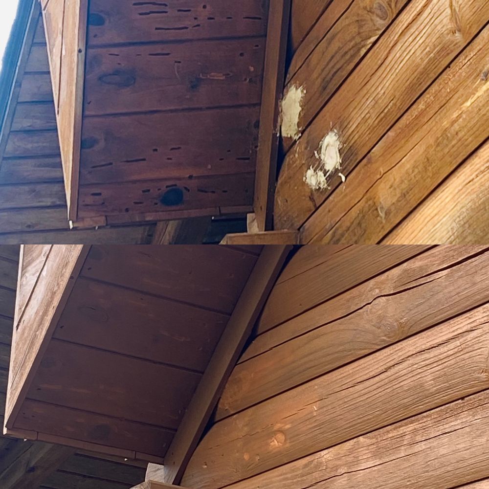 Our Woodpecker Damage Repairs service is perfect for homeowners who are experiencing damage to their log home. Carpenter bees drill holes and tunnels that over time cause larva and woodpeckers come after the larva, that’s when wood peckers come to drill those tunnels to get to the larva  for Master Log Home Restoration in Philadelphia, PA