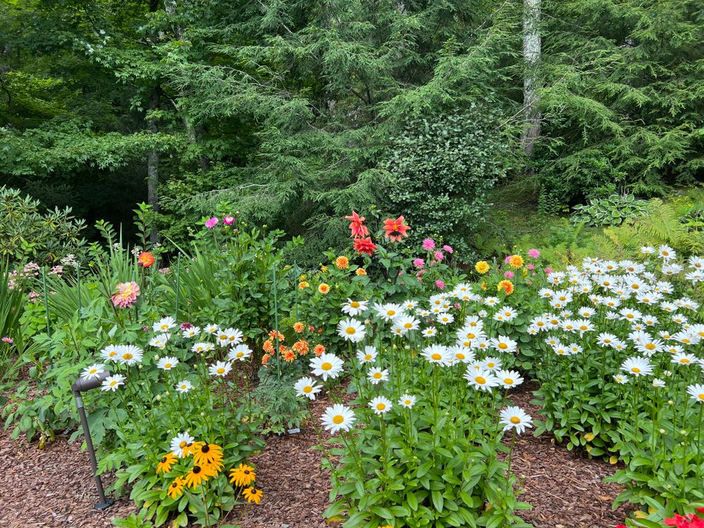 All Photos for Sustainable Lawn and Landscape in Banner Elk, NC