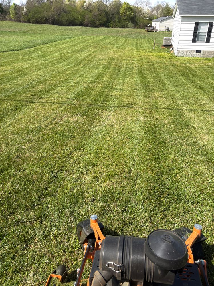 All Photos for Taylormade Lawn Management in Clarkesville, GA