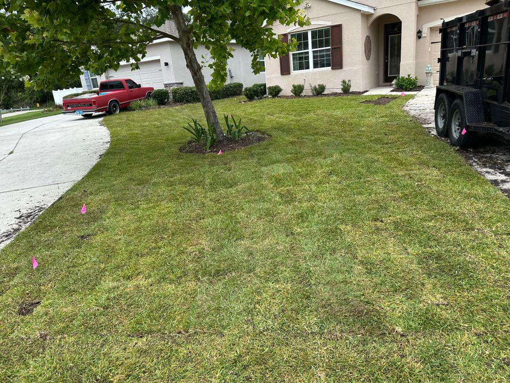 All Photos for Gulf Bay Sod in Clearwater, FL