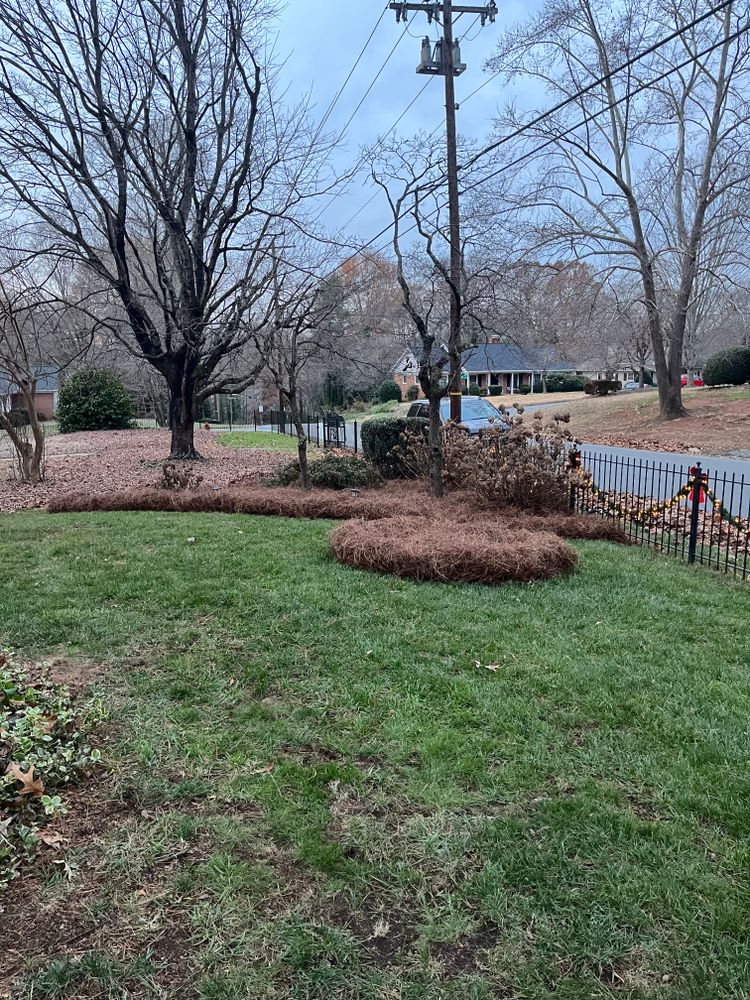 All Photos for Dream Cuts Landscaping and Lawn Care LLC in Gastonia, NC