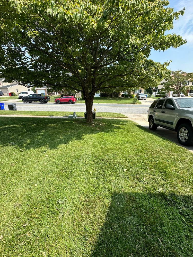 Lawn Care for A Better Lawn Service LLC in Bel Air, MD