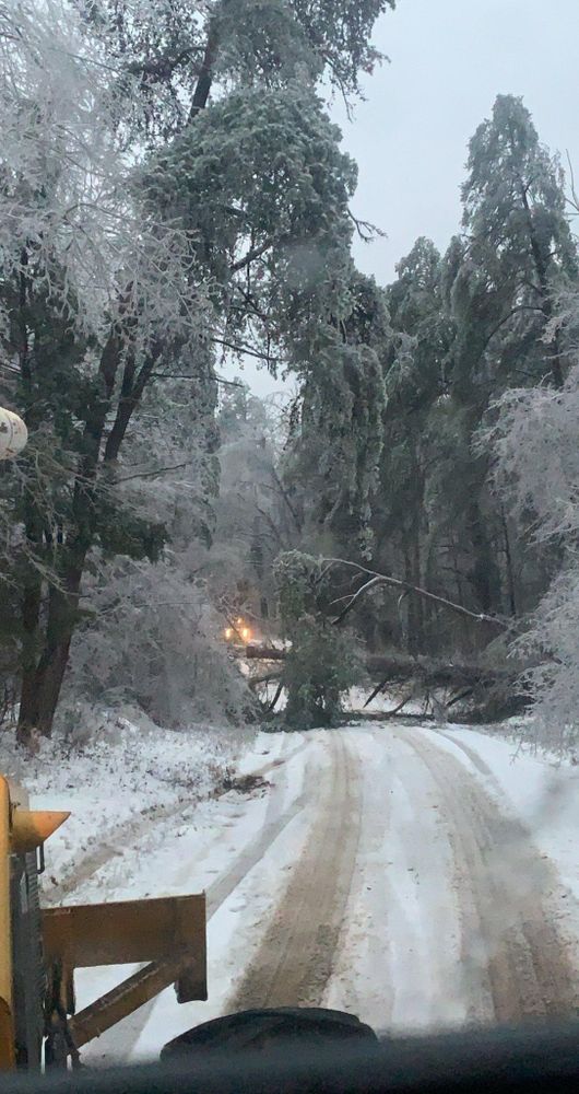 Our Storm Services specialize in storm damage clean up to help homeowners restore their properties after severe weather events by removing debris and ensuring the land is cleared safely and efficiently. for Mud Creek Vegetation Management in Russellville, AL