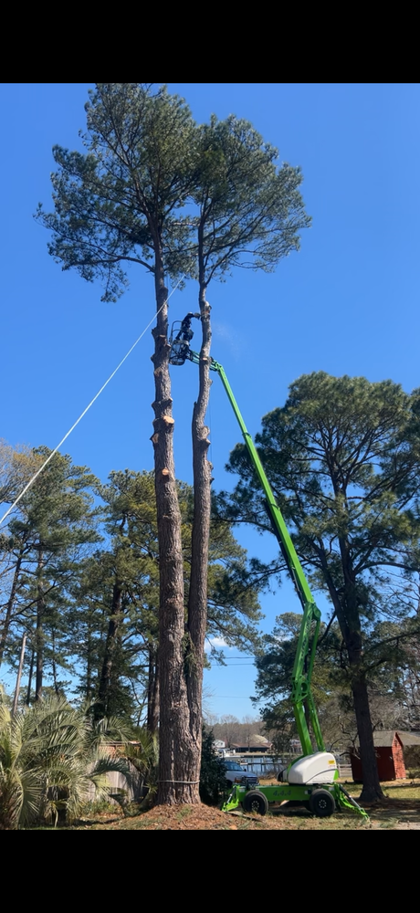 All Photos for James River Tree Service in Suffolk, VA