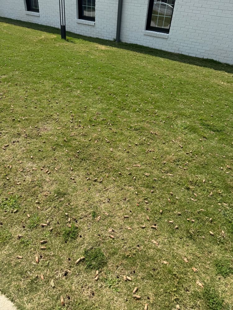 All Photos for Amerigreen Lawn & Landscape in Duluth, GA